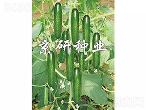 ��������4̖-�S�ϷN��-���зN�I