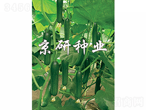 ��������2̖-�S�ϷN��-���зN�I