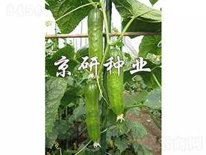 ���оG�ᭇ2̖-�S�ϷN��-���зN�I