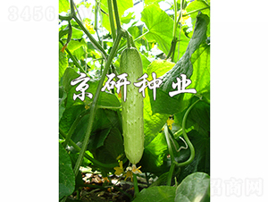 ���к���7̖-�S�ϷN��-���зN�I