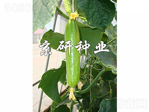 ���к���5̖-�S�ϷN��-���зN�I