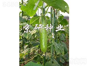 ���к���2̖-�S�ϷN��-���зN�I