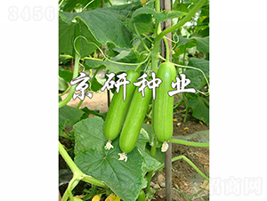 ���д�������2̖-�S�ϷN��-���зN�I