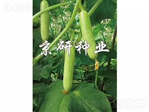 �׾��`-�S�ϷN��-���зN�I