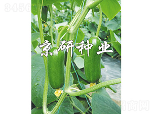 �G���`12̖-�S�ϷN��-���зN�I