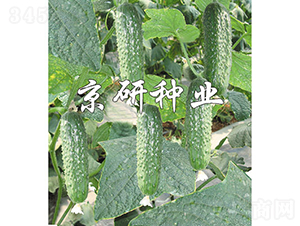 ������n��90-�S�ϷN��-���зN�I