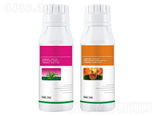 2,4-�Ρ����@�+10%�����@��@�}-�Z�ܼ�