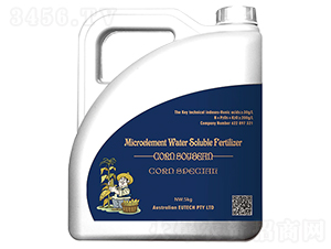 ���׌����A�Մ�-����-�Ϙ���