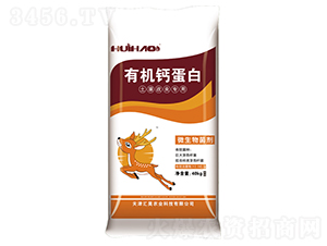 �ЙC�}����-�R��r�I