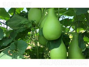 �����A�1̖-�����J�N��-�����N�I