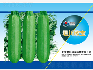 �����W��-�����J�N��-�����N�I