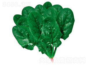 ����505-���˷N��-�����N�I