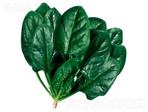 ����503-���˷N��-�����N�I