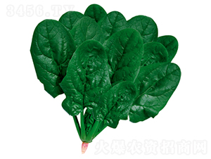 ����502-���˷N��-�����N�I