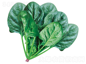 ����501-���˷N��-�����N�I