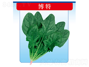 ����-���˷N��-�����N�I