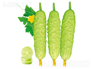 �������-�S�ϷN��-�����N�I