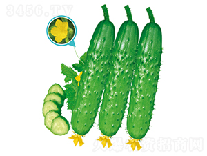 ����1̖-�S�ϷN��-�����N�I