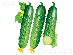 ����101-�S�ϷN��-�����N�I