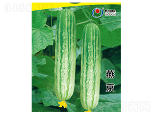 �ྩ-�S�ϷN��-�����N�I