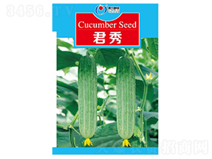 ����-�S�ϷN��-�����N�I