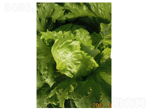 �ʼ�2̖-���˷N��-�����N�I