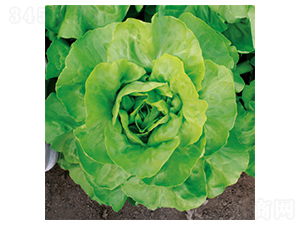 ��������-���˷N��-�����N�I