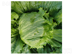 ����ɪ��-���˷N��-�����N�I