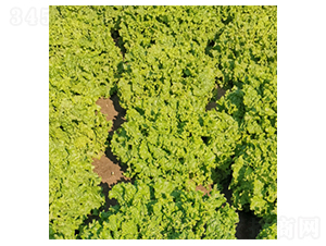 �����m��-���˷N��-�����N�I