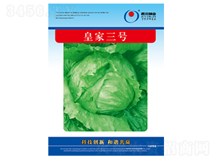 �ʼ���̖-���˷N��-�����N�I