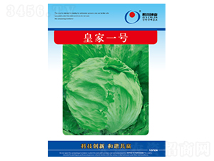 �ʼ�һ̖-���˷N��-�����N�I