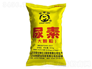 ���w������-�|ƽ��-���y����