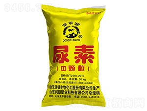 ���w������-�|ƽ��-���y����