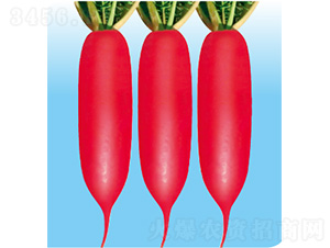 ��������-�}���N��-�����N�I