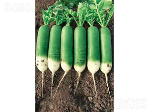 �����sҫ-�}���N��-�����N�I