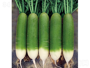 �����G���-�}���N��-�����N�I