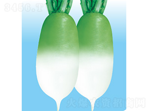 ��������-�}���N��-�����N�I