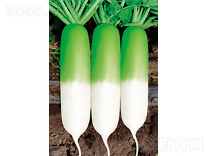 �������S-�}���N��-�����N�I