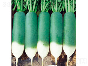 �������_-�}���N��-�����N�I