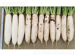 �n�״��-�}���N��-�����N�I