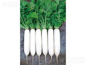 ����2̖-�}���N��-�����N�I