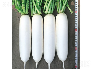 ��������-�}���N��-�����N�I