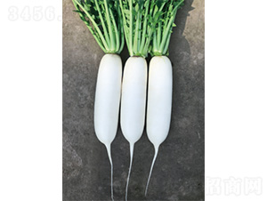 ��������-�}���N��-�����N�I