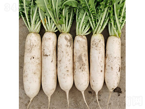 ��������-�}���N��-�����N�I