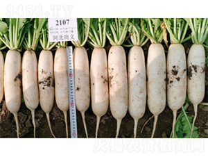 ��������-�}���N��-�����N�I