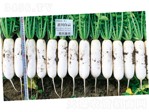 ��������-�}���N��-�����N�I