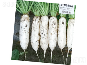 ������-�}���N��-�����N�I