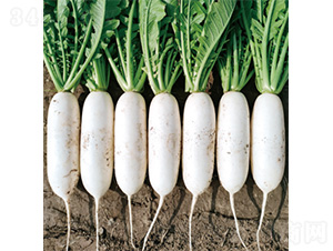 �������ď�-�}���N��-�����N�I