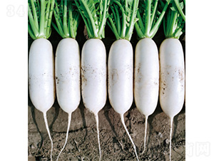 �������-�}���N��-�����N�I