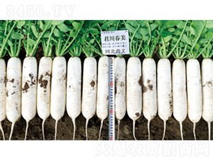 ��������-�}���N��-�����N�I